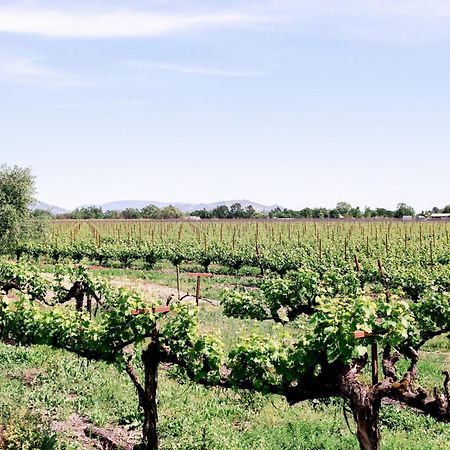 Vintners Resort Santa Rosa Dış mekan fotoğraf