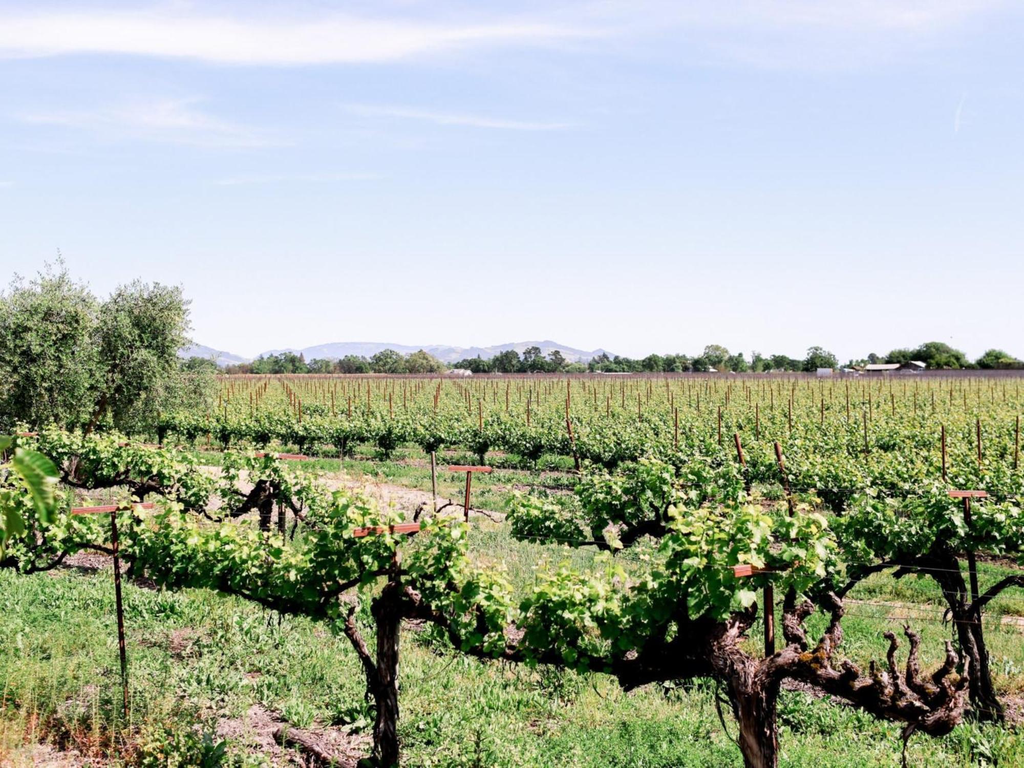 Vintners Resort Santa Rosa Dış mekan fotoğraf